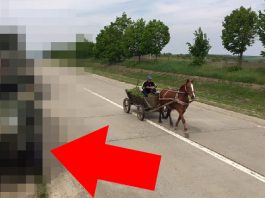 barbat caruta convoi militar