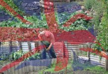 romani in uk locuri de munca agricultură