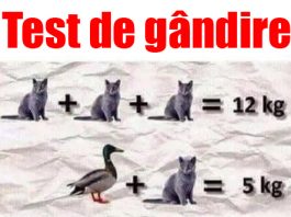 Test de gândire logică