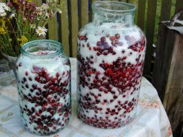 visinata de casa reteta traditionala