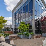 1-berbec-freshomecom