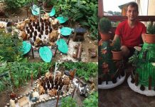 Istvan gradina din fata blocului Satu Mare