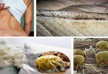 Scapa de acarienii din saltea