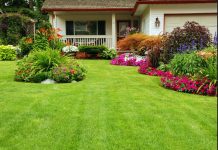 intretinere gazon vara