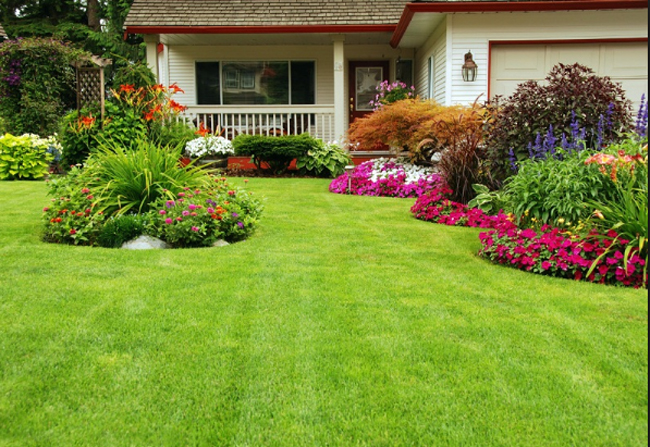 intretinere gazon vara intretinere gazon vara