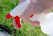 stropeste plantele cu otet