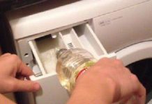 otet in masina de spalat